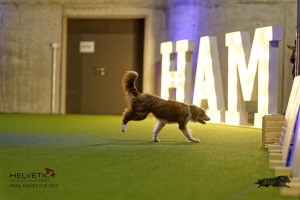 1T0A2812_DxO