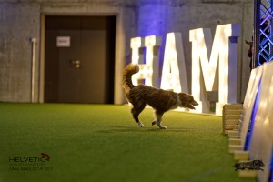 1T0A2814_DxO