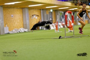1T0A2833_DxO