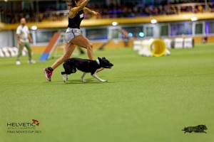 1T0A2849_DxO
