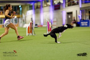 1T0A2864_DxO