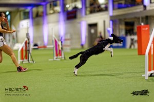1T0A2866_DxO