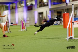 1T0A2867_DxO