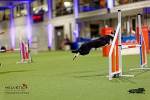 1T0A2869_DxO