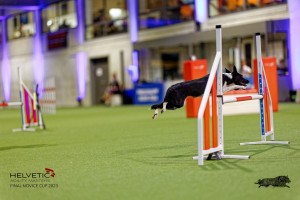 1T0A2870_DxO