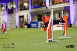 1T0A2871_DxO