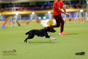 1T0A2999_DxO