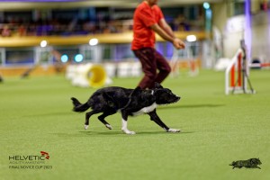 1T0A3001_DxO