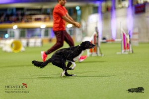 1T0A3003_DxO