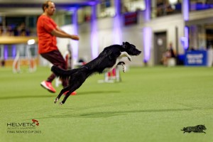 1T0A3006_DxO