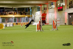 1T0A3049_DxO