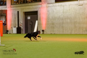 1T0A3083_DxO