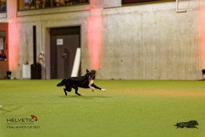 1T0A3084_DxO