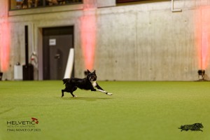 1T0A3085_DxO