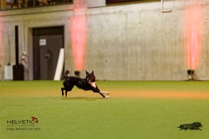 1T0A3086_DxO