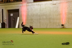 1T0A3087_DxO