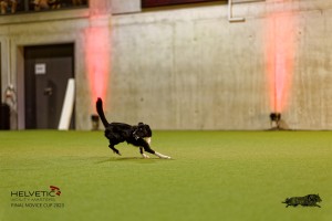 1T0A3088_DxO