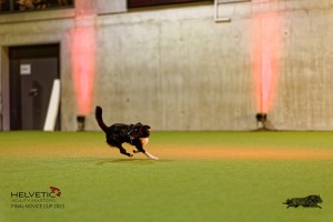 1T0A3089_DxO