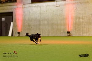 1T0A3090_DxO