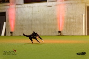 1T0A3092_DxO