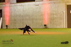 1T0A3093_DxO