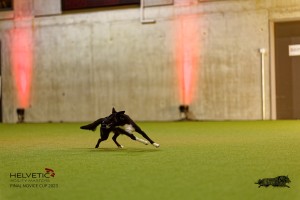 1T0A3094_DxO