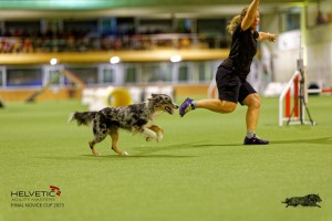 1_1T0A2536_DxO