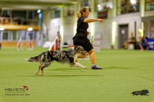 1_1T0A2542_DxO