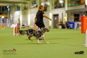 1_1T0A2544_DxO