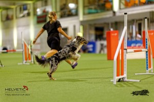 1_1T0A2547_DxO