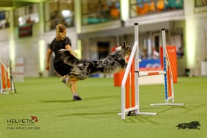 1_1T0A2550_DxO