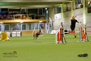 1_1T0A2584_DxO