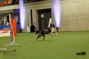 1_1T0A2614_DxO