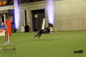 1_1T0A2615_DxO