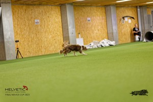 1_1T0A2684_DxO