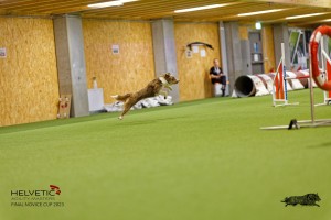 1_1T0A2688_DxO