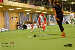 1_1T0A2695_DxO