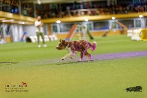 1_1T0A2717_DxO