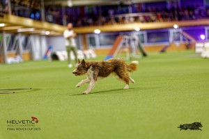 1_1T0A2719_DxO