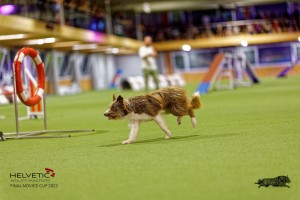 1_1T0A2722_DxO