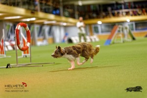 1_1T0A2723_DxO