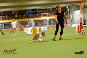 1_1T0A2765_DxO