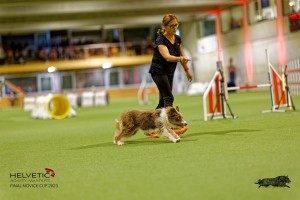 1_1T0A2772_DxO