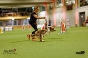 1_1T0A2776_DxO