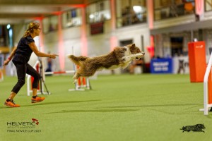 1_1T0A2782_DxO