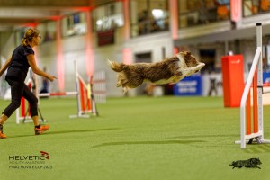 1_1T0A2784_DxO