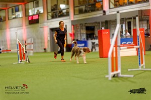 1_1T0A2806_DxO