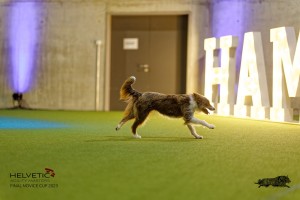 1_1T0A2809_DxO