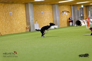 1_1T0A2828_DxO