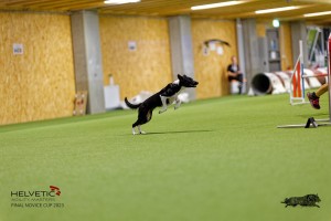 1_1T0A2829_DxO